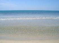 IMG_404.JPG